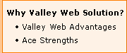 Why Valley Web Solution?